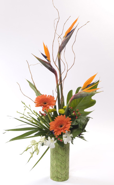 bird of paradise flower bouquet